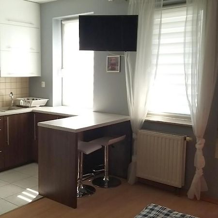 Modern Apartament Krakow Lejlighed Eksteriør billede