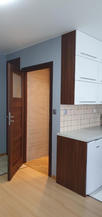 Modern Apartament Krakow Lejlighed Eksteriør billede
